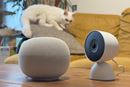 �f�������Ȃ��Ă��y�b�g��Ƒ��̗l�q���ۂ킩��!? Google Home�́uAI�����v�������Ă݂�