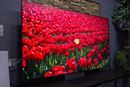 �����قǉf�荞�܂Ȃ��I �uBRAVIA 9 II�v��RGB mini LED���`���g�{���h�̍��掿�Ƃ�