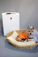 アイリスオーヤマ「ペット用空気清浄機」の実力を検証してみた！