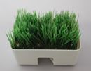 緑の芝生にデジタルガジェット。コードを隠せる癒やしグッズ