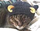 にゃんこがひつじに変身しちゃうかぶりモノがかわいすぎる〜!