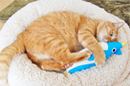 猫が喜ぶおもちゃはこれ! 試してわかった傑作猫用グッズ20選【猫を愛するすべての人へ】