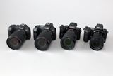 フルサイズミラーレス徹底比較！ 「EOS RP」「EOS R」「α7 III」「Z 6」の違いをレビュー