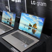 17C`tڂŏdʖ1.3kgBoCm[guLG gramv2019Nfo