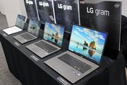 17C`tڂŏdʖ1.3kgBoCm[guLG gramv2019Nfo
