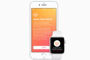 uApple WatchvŐS[ד͂ǂꂭ炢mɌmł̂H [U[Lp炩
