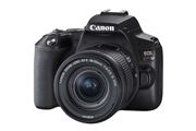 yT̒ڐizLmAGg[fW^჌tJuEOS Kiss X10vo