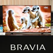 2020NL@EL BRAVIA\I 48^̏^掿fuA9SvƉ掿EuA8Hv
