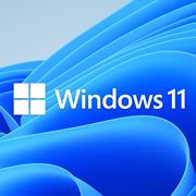 uWindows 11vN㔼ɓoI fUCAXgAAgAQ[ȂǑSʍV