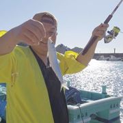 釣り入門者向け動画・イワシ爆釣「サビキ釣り」をやってみよう！