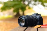 LmuRF24-240mm F4-6.3 IS USMvHŎg|I {Y[1{łǂ܂ŎBH