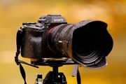 ソニー「α7R V」ファーストインプレッション、新しい6100万画素機を写真家はどう評価する？