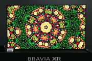\j[urA2023Nf\I FmvZbT[uXRv̐iŗL@ELtɍ掿