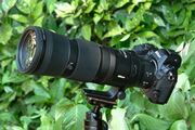Җ]́g肪͂h]Y[uNIKKOR Z 180-600mm f/5.6-6.3 VRvr[