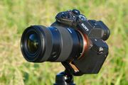^u17-50mm F/4 Di III VXDvr[I Lp17mmW50mm܂1{ŃJo[