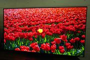 2QD-OLEDځI V[vuAQUOS QD-OLED FS1v͍LF×Px
