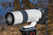 LmuRF200-800mm F6.3-9 IS USMvr[I E800mmΉAFY[Y