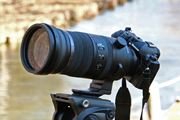 ]1200mmΉI uM.ZUIKO DIGITAL ED 150-600mm F5.0-6.3 ISvȂgƑ傫B肽hȂ