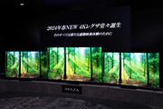 2024Nf́ghdlɐiI TVS REGZA̗L@EL^ter