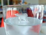 グラスの中でプカプカ♪流氷に乗った動物の氷が作れる「製氷機」