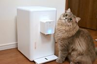 LKuKu񂾁I 򐅌^EH[^[T[o[uputiovr[