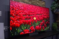 �����قǉf�荞�܂Ȃ��I �uBRAVIA 9 II�v��RGB mini LED���`���g�{���h�̍��掿�Ƃ�