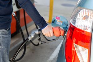 K\J[h8II X^hƂ̂߃NJIy2025N11z