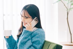 �y�O���r�z��������̊i��SIM��������6�I�I �y2026�N2���z