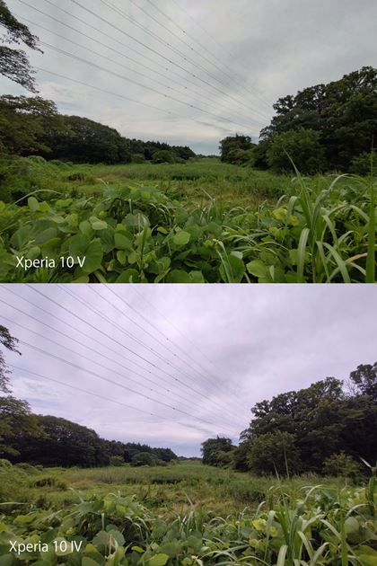 ܂̓BeBzCgoXɈႢuXperia 10 Vv̂قɂ߂BAӕ̗𑜊͂悭X̂߁A^b`ŏCłẍႢƌ邾낤Beʐ^iXperia 10 VF3264×2448A2.4MBAXperia 10 IVF3264×2448A2.3MBj
