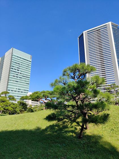 ӂ̍ו̕`ʂA͂Ƃ`ʂ͖邭AߓxȐFȂBLFƂł悢ۂ