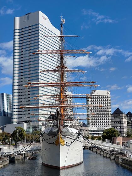 D̃[v≓Ɏʂ鍂wrׂ̍ʑ̂̎ʂĂǍDȉ掿Ď