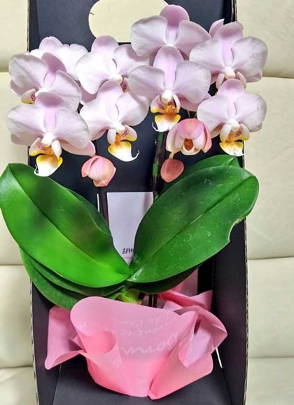 ʏ菬^̃~fBӒ͉Ԏ悭āA͏T1񂠂邾 1A2炢ĂĒy߂܂BӒ̂悤ɑ傫Ȃ̂Œuꏊɂ܂B