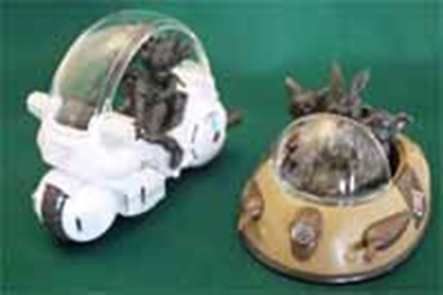 ドラゴンボールカプセル 9点 BANDAI ドラゴンボール メカコレクション