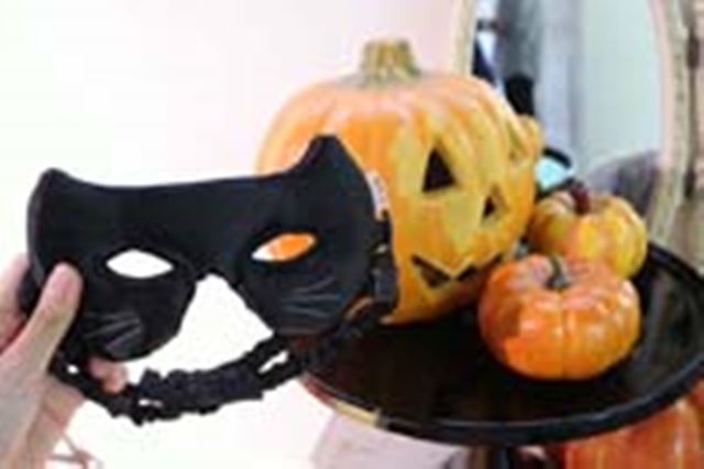 �j�����Ă��킢���́I �����h�̐V�삪�܊��ɑi�������Ă���