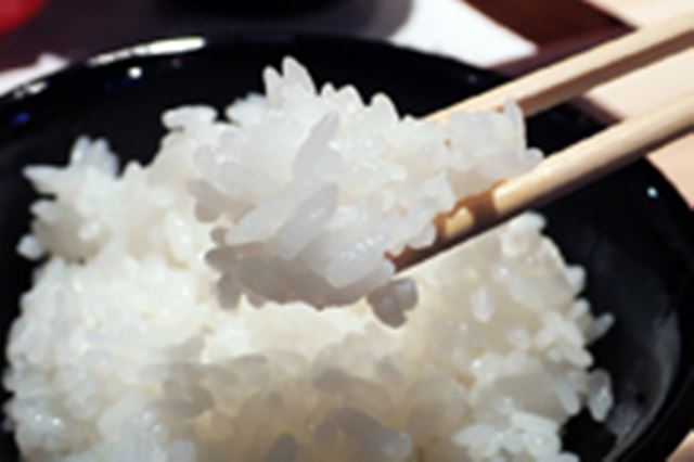 �ō������ъ�̂��͂񂪁g������莩�R�h�Ŗ��킦��u�ۈ�H���v�����N�����Ԍ���I�[�v���I