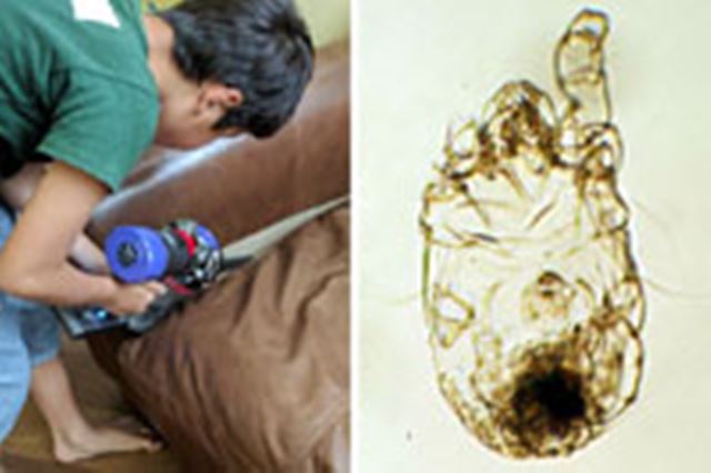 �_�C�\���̃X�e�B�b�N�|���@�uV8�v�ŉƂ�|��������A����ȂɃ_�j�������I