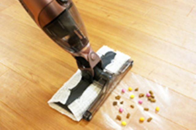 �t���[�����O���C�p�[�Ƒ|���@�����̂����u���C�p�[�|���@�v�́g�@��×�z���|���h�����֗��I