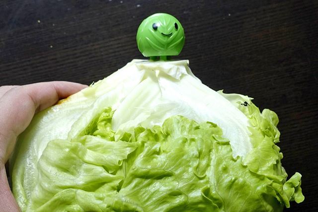 実験! 「野菜の鮮度を長持ちさせるグッズ」って本当に効果あるの?