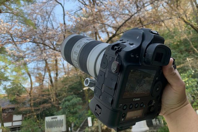 Canon EOS-1DX 最終値下げ Amazon.co.jp: Canon EOS-1D X Mark II EOS-1DXMK2 Digital