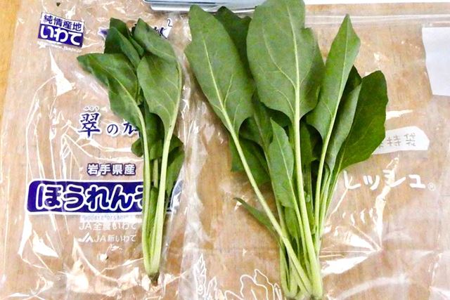 入れるだけで野菜が長持ち!? 「鮮度保持袋」の効果を検証してみた!