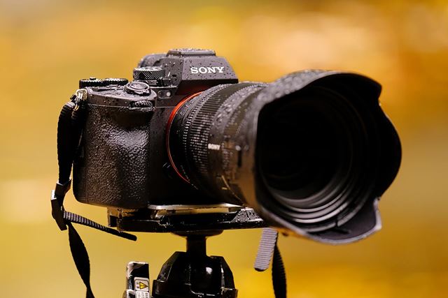 �\�j�[�u��7R V�v�t�@�[�X�g�C���v���b�V�����A�V����6100����f�@���ʐ^�Ƃ͂ǂ��]������H