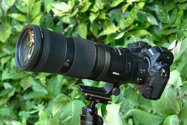Җ]́g肪͂h]Y[uNIKKOR Z 180-600mm f/5.6-6.3 VRv