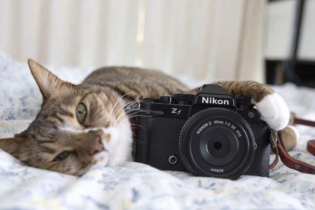 【新品同様】Nikon NIKKOR Z 28mm f/2.8 24年8月購入 新品)Nikon (ニコン) NIKKOR Z 28mm F2.8（商品ID