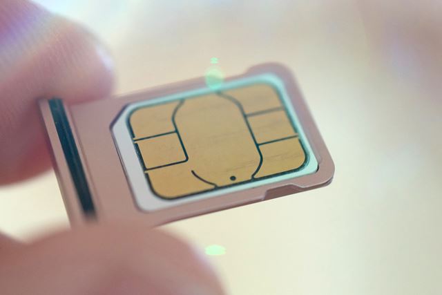 ߂̖iSIḾuyVoCvI y2025N11z