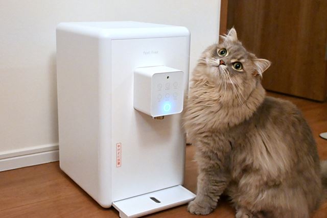 LKuKu񂾁I 򐅌^EH[^[T[o[uputiovr[