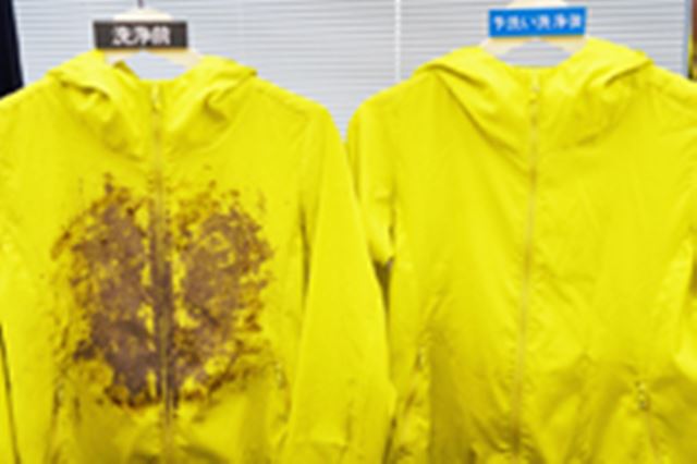 �_�Ə��q���F�߂��g�h������ɋ����h�V���[�v�̃h���������󊣑��@���āH