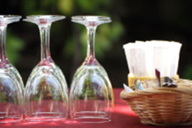 �˂��������܂܂�����������Ȃ��I �n�C�����[�B�e�Ŗڐ���ς���A���E���ς��I