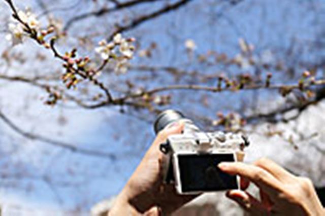 極上軽量☘️Canon Kiss X7i＋18-55＆75-300mm自撮り◎ CANON EOS Kiss