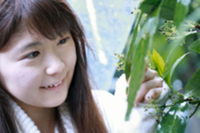 CANON EOS Kiss X8i ボディ 価格比較 - 価格.com