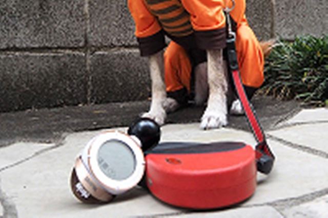 ���͎��x���d�v�I �M���ǂ̊댯�x���x�����Ă����u�R���f�B�V�����Z���T�[�v�ň��������